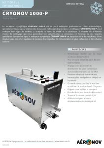 Nettoyeur cryognique CRYONOV 1000-P