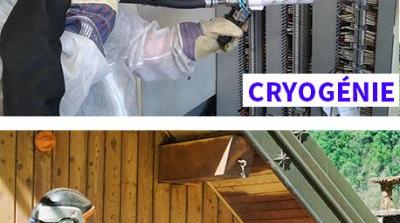 Comment Choisir entre Arogommage et Cryognie ?