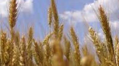 Industries agro-alimentaires, optez pour l'arogommage